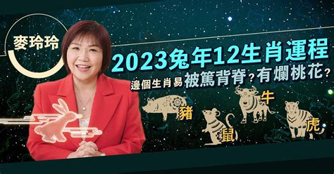 麥玲玲 2023 風水佈局|【2023兔年運程】麥玲玲2023年兔年九宮飛星圖：擺放年花、地。